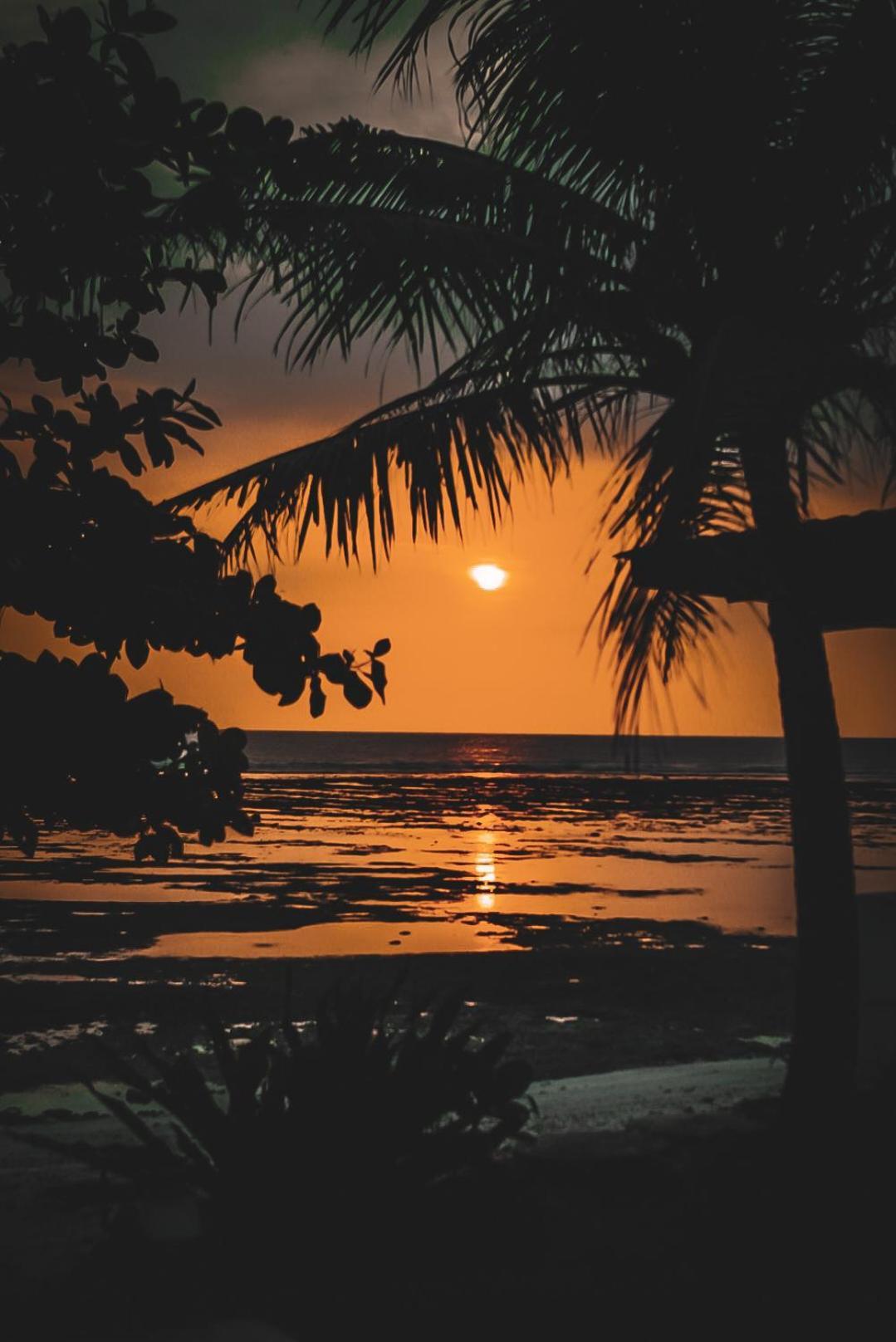 Sumatra Surf Resort Biha ภายนอก รูปภาพ